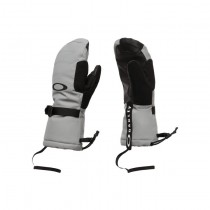 Перчатки Oakley Powder Ridge 2026