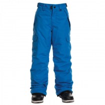 Штаны детские 686 Boys Infinity Cargo Insulated Pant 19/20