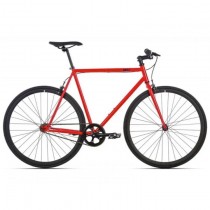 6ku Fixed Bike 2023 Multicolor