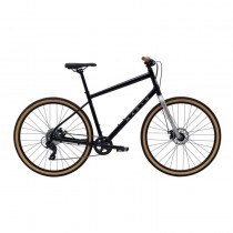 Marin KENTFIELD 1 2025