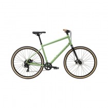 Marin KENTFIELD 1 2025