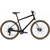 Marin KENTFIELD 1 2025