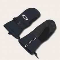 Перчатки Oakley Powder Ridge 2026