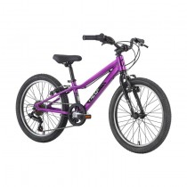 20" Apollo Neo 6s 2026