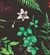dakine-woodland-floral